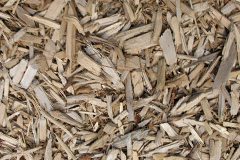 biomass boilers Cynheidre